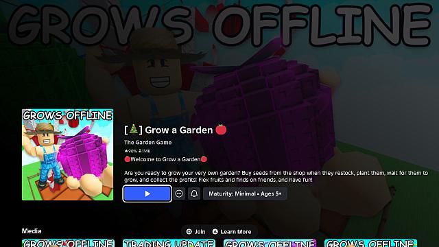 Roblox 20251224223121