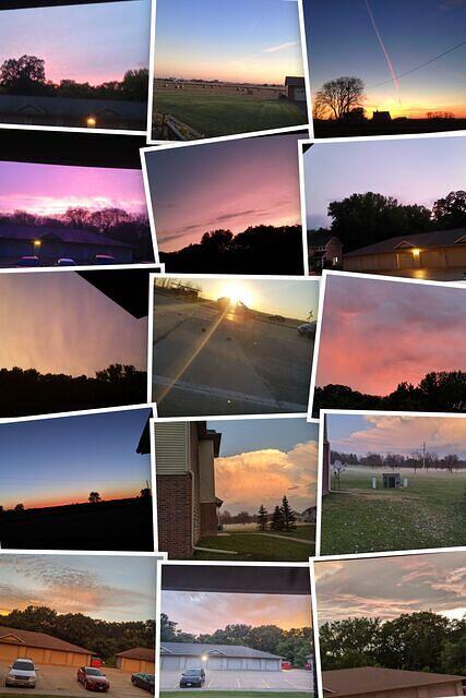 IMG 0015-COLLAGE