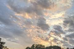 IMG_20210709_201853_545