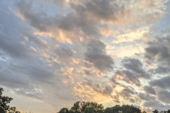 PXL_20210710_011744749