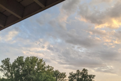 PXL_20210710_011747871